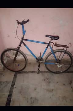 phoenix cycle for sale