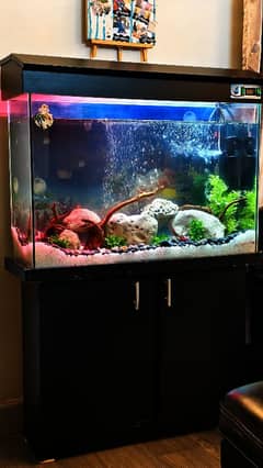 Fish Aquarium ( Fish tank ) for sale in Lahore.