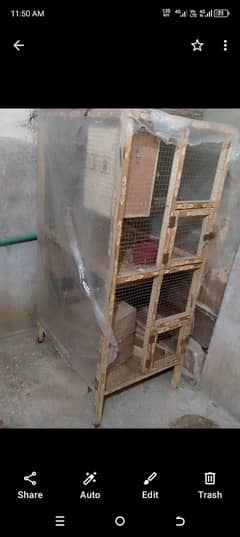 Bird cage for sale