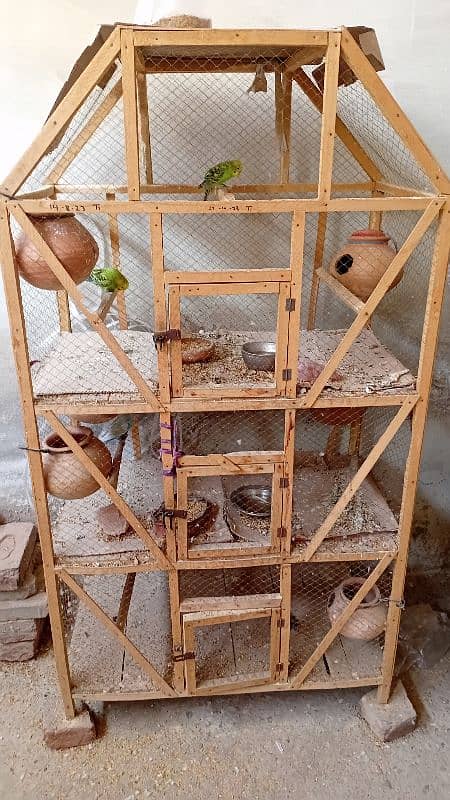cage and parrots for sale 0