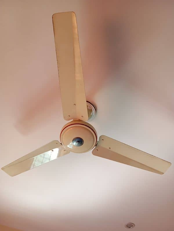 Celling fans 0