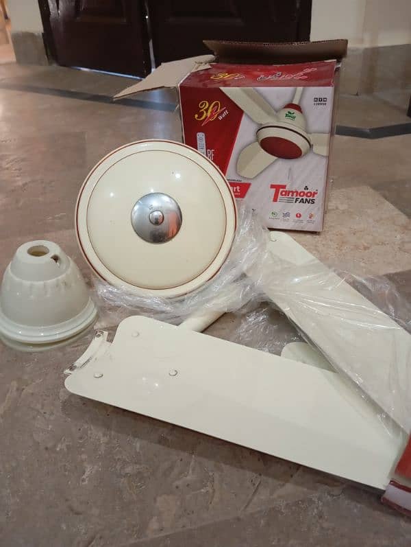 Celling fans 2