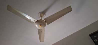 6 fans available