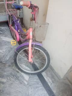 Smart Kids bicycle