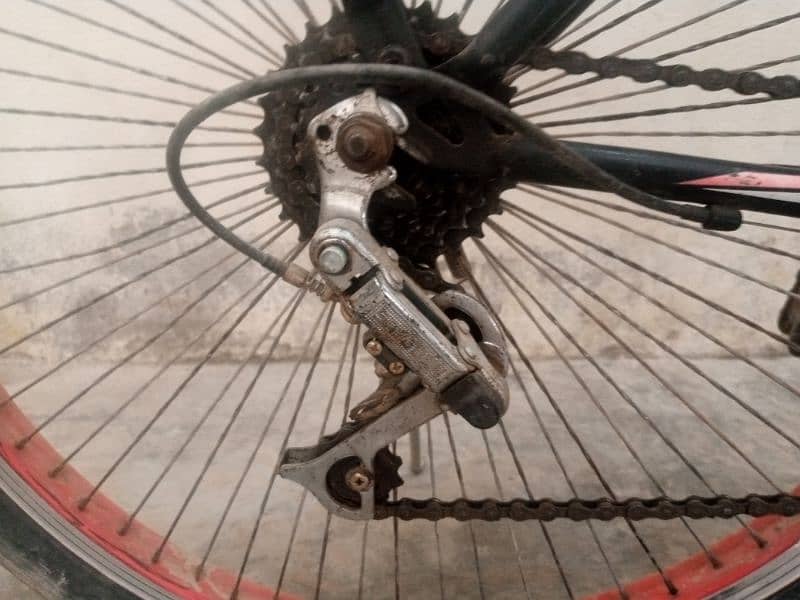 Hummer cycle 2