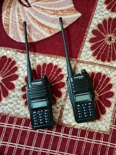 Walkie Talkie For Sale (High Quality)