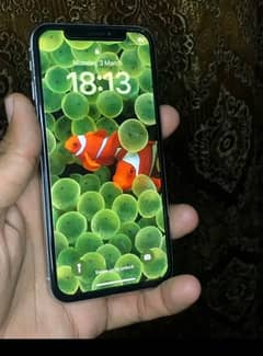 iPhone X non pta