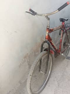 champion cycle for sale