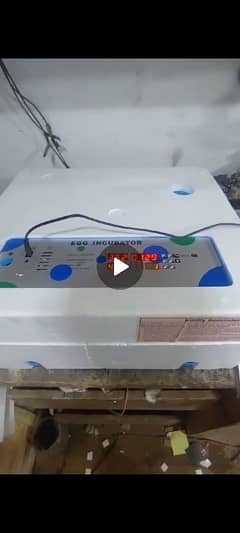 Egg incubator fully automatic 70 Egg wala