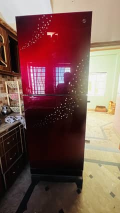 Jumbo Size Pel Refrigerator Glass Door