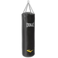 Everlast Punching Bag