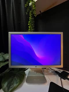 Apple Cinema Display