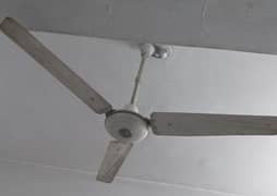 Ceiling Fan