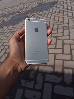 iPhone 6 plus