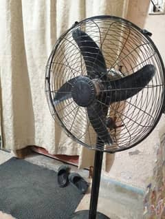 pedestal fan