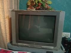 television