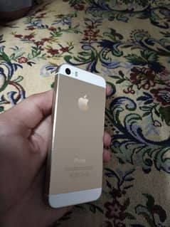 iphone 5s