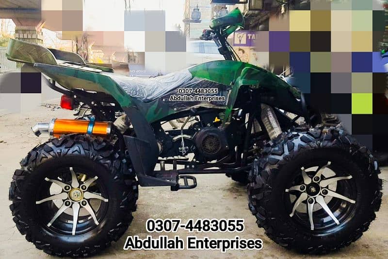 12 no raptor 250cc quad bike atv 4 wheel with self and kick for sale 3