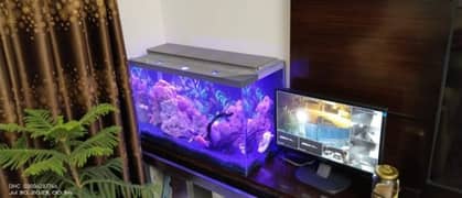 Table aquarium