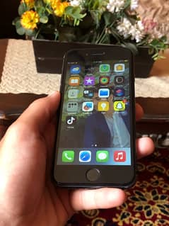 iphone 8 64 GB 03174014937