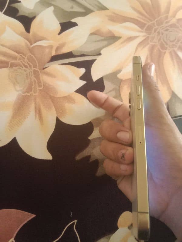 iphone 12 pro max 1