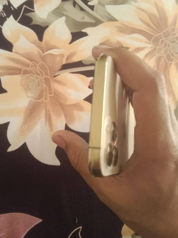 iphone 12 pro max 2