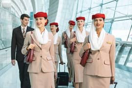 Female Airhostess In Airline