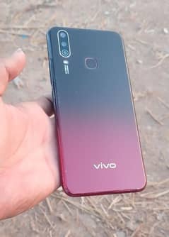 Vivo