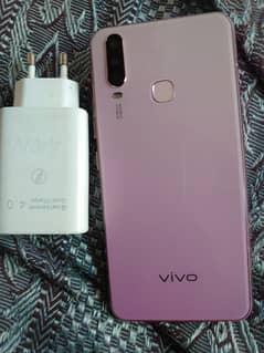 vivo