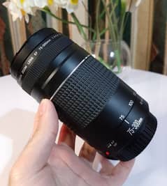 Canon 75-300mm Zoom Lens