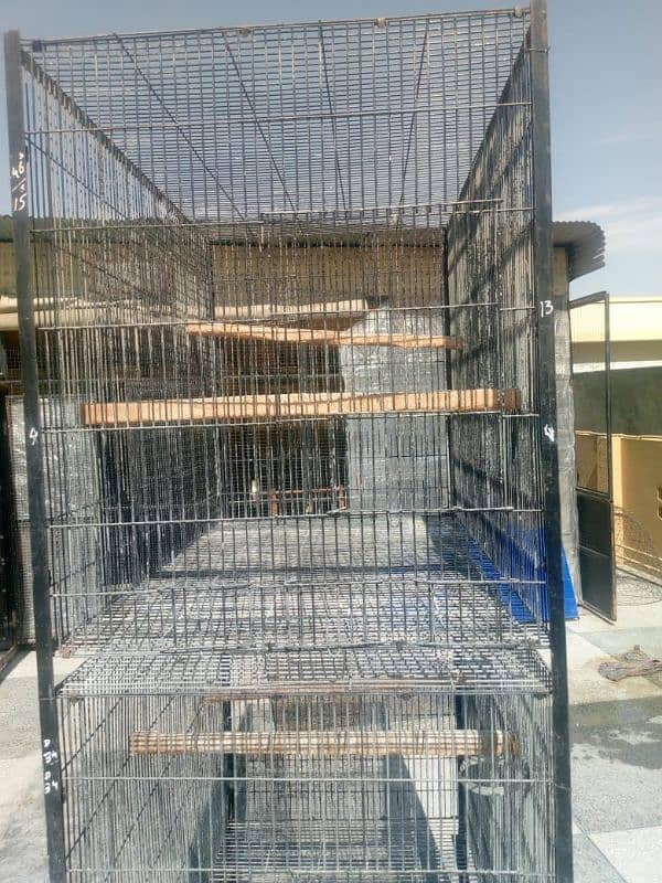 Raw Cages 5
