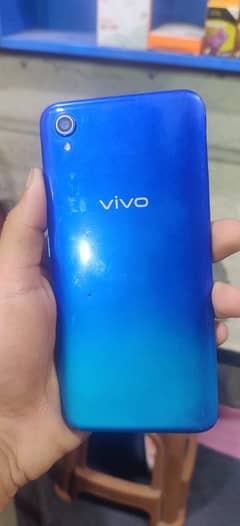 Vivo