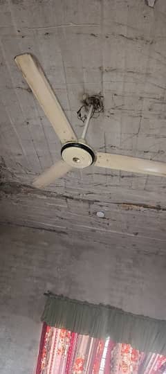 Ceiling Fan