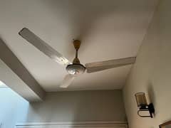 Pak Fan ceiling fan