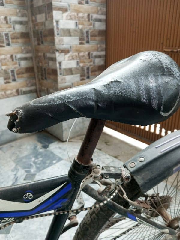 Thunder bicycle 3