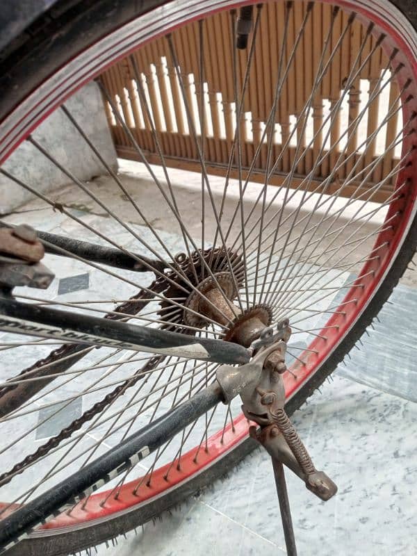 Thunder bicycle 4