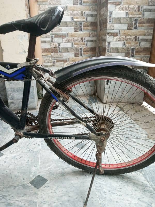Thunder bicycle 8