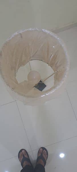 Floor Lamp 1