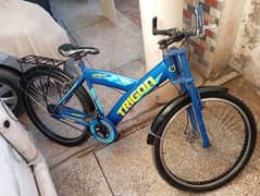 Trigon Cycle for sale