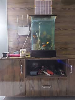 Aquarium with accessories for sale