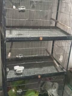 Parrots Cage 1.5 x 2.5