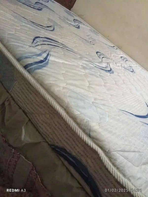 master Molty Foam Mattress 1