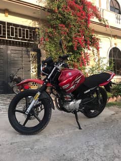 yamaha YBRG urgent sale