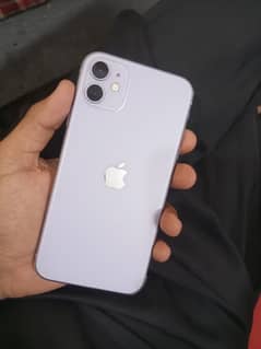 iPhone 11 jv lush condition phone hai