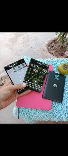 blackberry