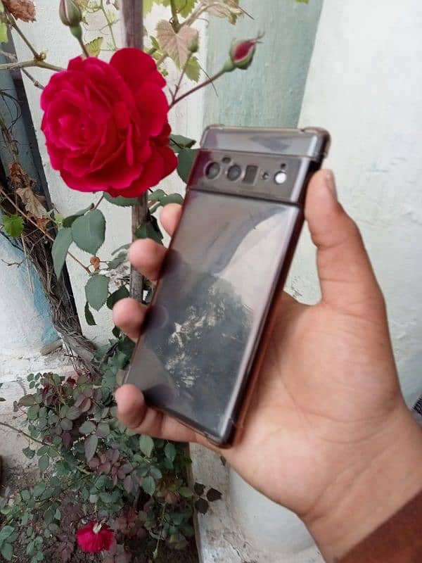 google pixel 6pro exchange possible 8