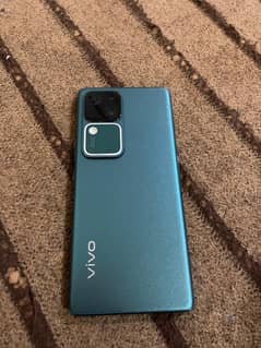 V30 Full box 12/256 +Extended Lush condition Excellent working