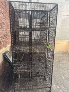 parrots  cages