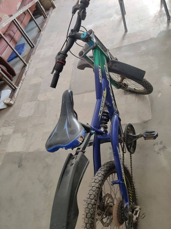 Mountain bicycle 1