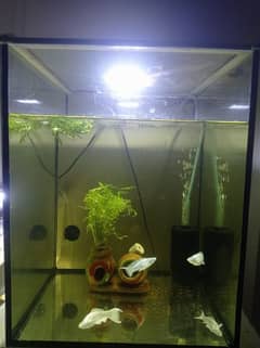 1 fit aquarium imported Krystal glass and white stone gravel